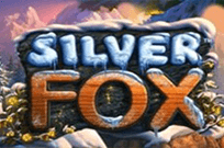 Игровые автоматы Silver Fox