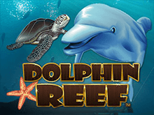 Dolphin Reef в казино онлайн